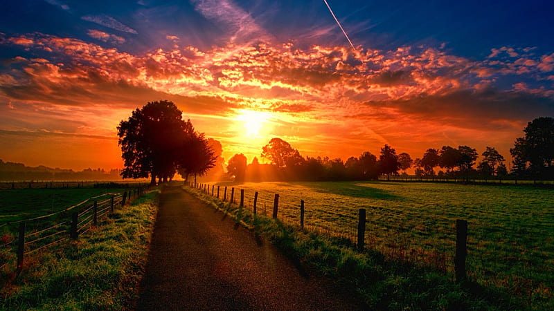 Beautiful Sunset, fence, red, sun, grass, orange, bonito, sunset, clouds, SkyPhoenixX1, sunrise, way, road, sky, trees, sunshine, nature, meadow, grassland, field, landscape, HD wallpaper