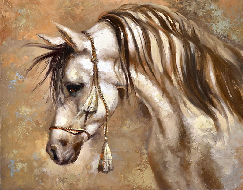 Arabian Sire - Horse F, art, equine, bonito, horse, artwork, animal, head shot, Arabian, painting, wide screen, HD wallpaper