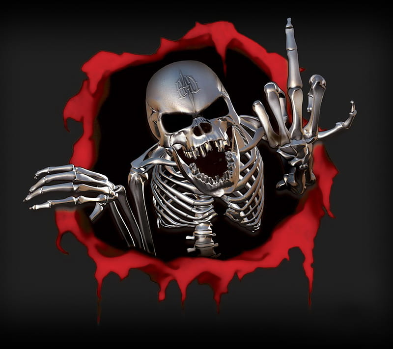 Skeleton Steel, bones, metal, skull, HD wallpaper