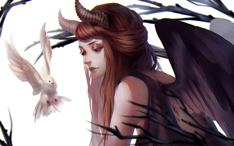 Succubus, wings, black, hornes, demon, fantasy, girl, bird, feather, dove, white, HD wallpaper