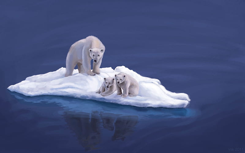 POLAR BEAR & 2 CUBS, ocean, bear, ice, polar, cubs, island, reflection, white, blue, HD wallpaper