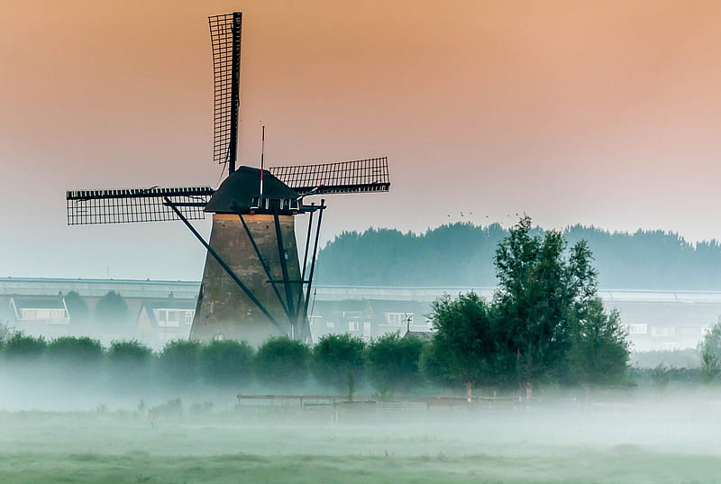 *** Mill in mistiness ***, fof, mill, nature, landscape, mist, HD wallpaper