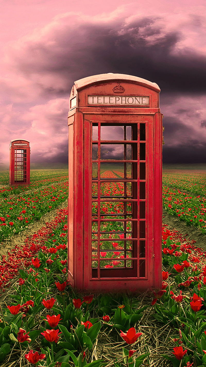 telephone, 3d, box, clouds, field, flower, nature, HD phone wallpaper