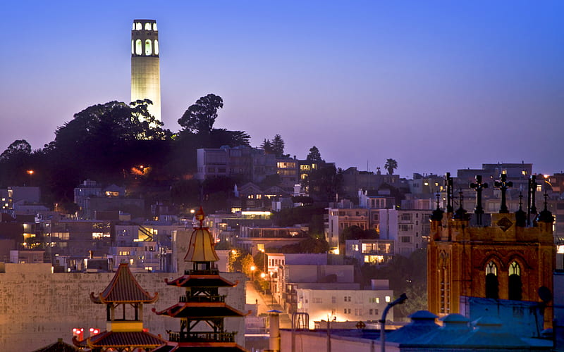 Coit Tower Twilight, city, curch, pagoda, apartments, tower, buildings, trees, hill, HD wallpaper