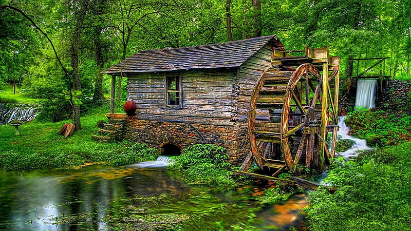 Old Watermill, forest, house, water, nature, trees, HD wallpaper