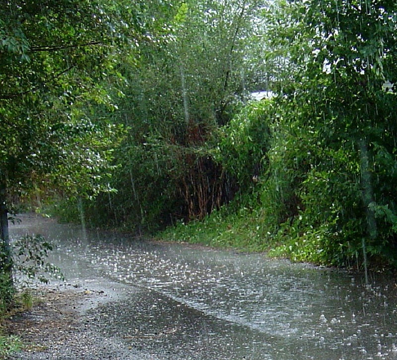 Rainy Day, Water, rain, Nature, HD wallpaper