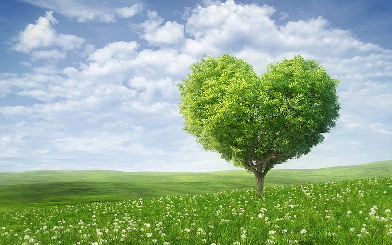 Green valentines tree, valentines, grass, romance, love, heart, nature, HD wallpaper