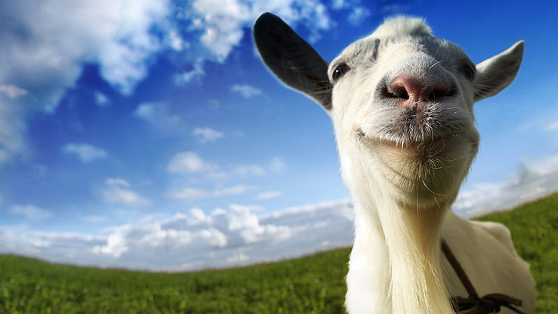 goat simulator for mac 2017