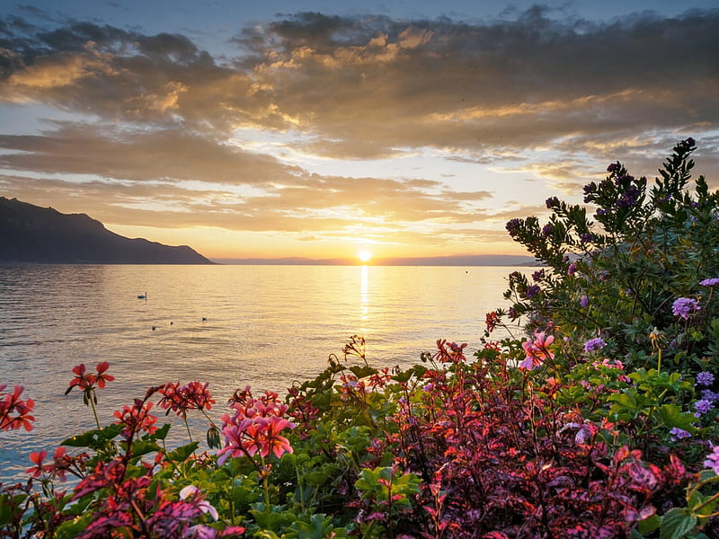 Sunset Over Lake Geneva, hills, springtime, France, Montreux, bonito, sunset, Switzerland, sky, clouds, lake, flowers, HD wallpaper