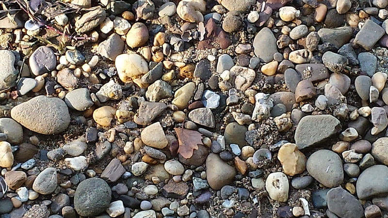 Rocks on the river bank, rocks, along the river, stones, river rocks, HD wallpaper