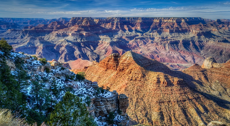 Grand Canyon Arizona, arizona, flowers, beauty, Grand canyon, clouds, sky, HD wallpaper