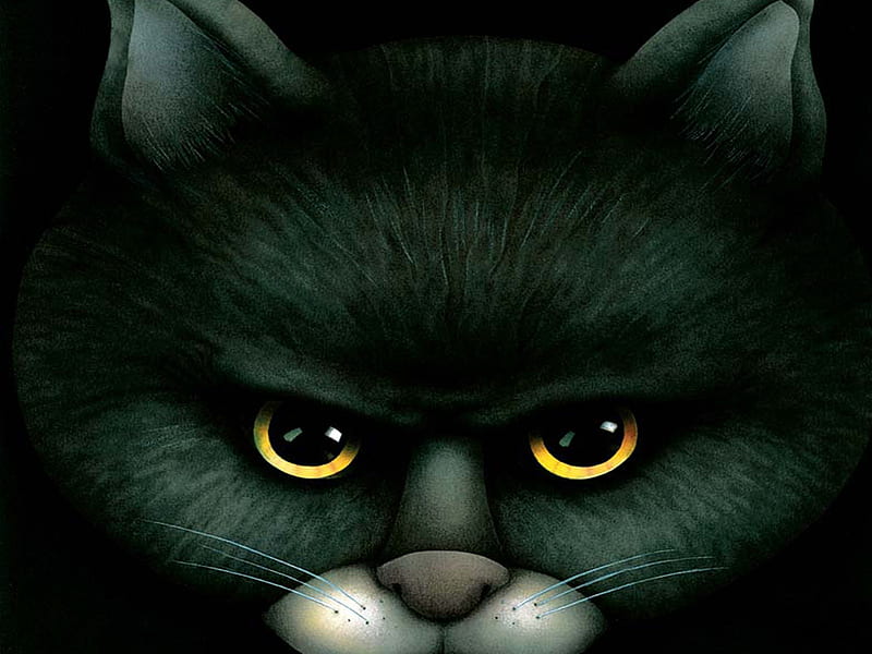 TICKED OFF KITTY, yellow-eyed, halloween, black cat, scary, angry, HD wallpaper