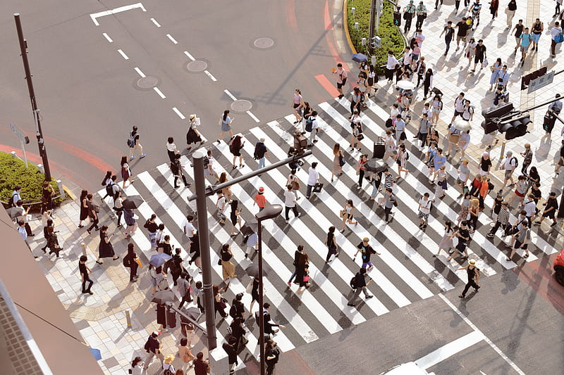 people walking on pedestrian lane during day time, HD wallpaper