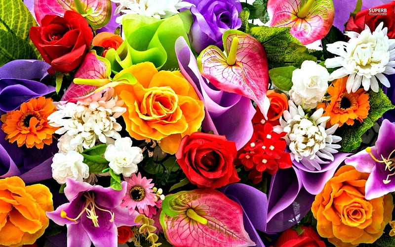 Flores de colores, coloridas, bonitas, flores, abstractas, Fondo de  pantalla HD | Peakpx