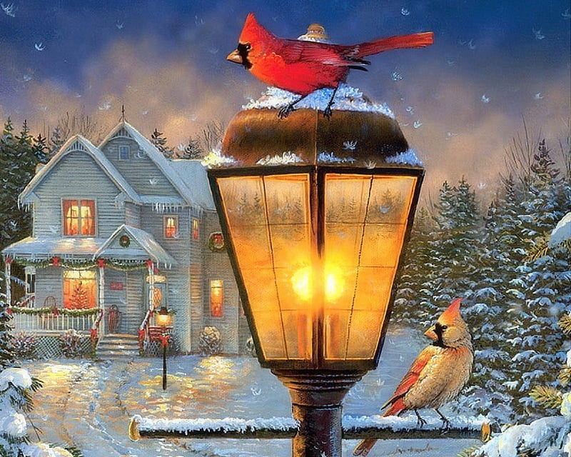 Winter Holidays, Christmas, holidays, houses, love four seasons, birds, attractions in dreams, lamppost, xmas and new year, winter, cardinals, paintings, snow, HD wallpaper