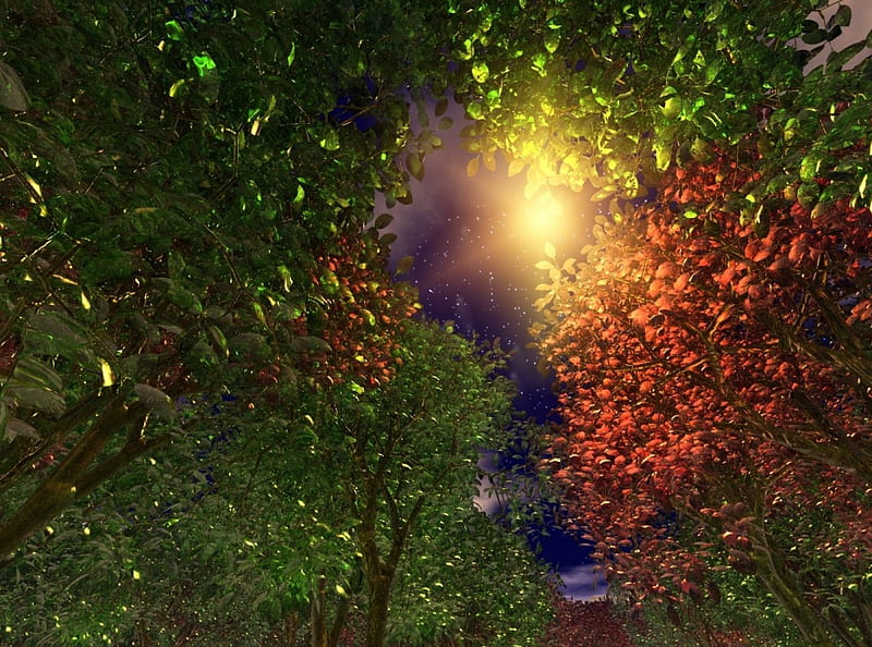 glassy world, shine, jungle, sun, trees, HD wallpaper