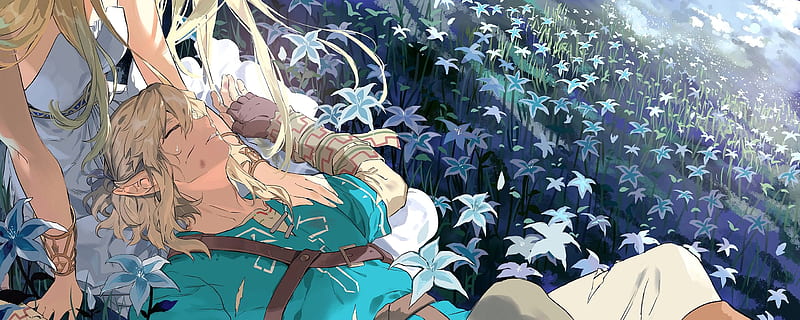 Princess zelda, the legend of zelda, link, anime style, romantic, Anime, HD  wallpaper