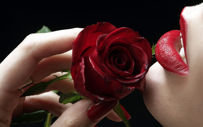 Red Rose Lip-Summer romance Feelings, HD wallpaper