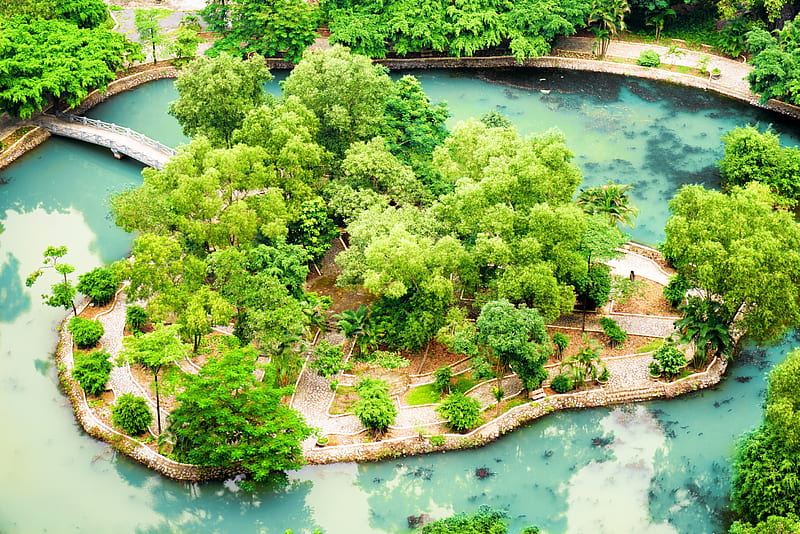 Tropical Garden, Pond, Park, Trees, Bridge, HD wallpaper