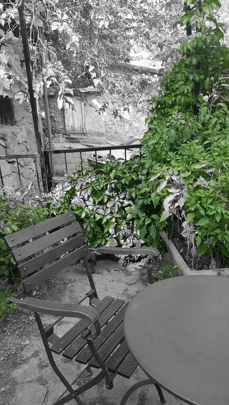 Garden, bahce, green, huzur, leaf, relax, silent, tree, HD phone wallpaper