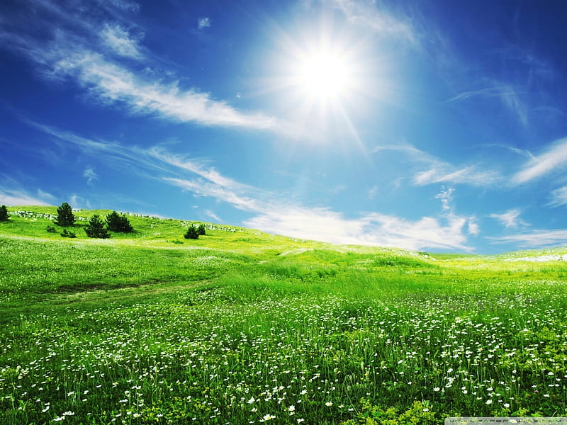 Một tấm nền màu xanh biển trong veo, mây trắng vô số trên trời. Hãy chiêm ngưỡng ảnh nền này để cảm nhận sự tươi mới và bình yên mà mùa hè đem lại cho chúng ta. 
