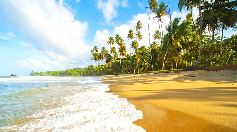 Blanchisseuse Beach, Trinidad, beach, sand, quiet, Caribbean sea, bonito, island, clouds, palms, HD wallpaper