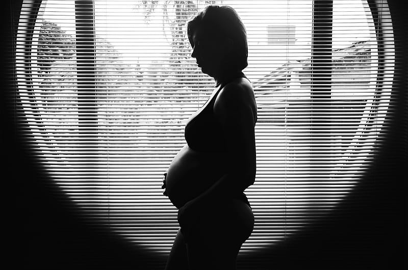 silhouette graphy of pregnant woman near window, HD wallpaper
