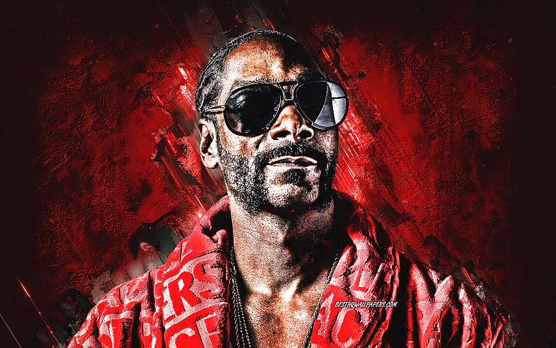 Snoop Dogg, portrait, american rapper, red stone background, creative art, Cordozar Calvin Broadus Jr, HD wallpaper