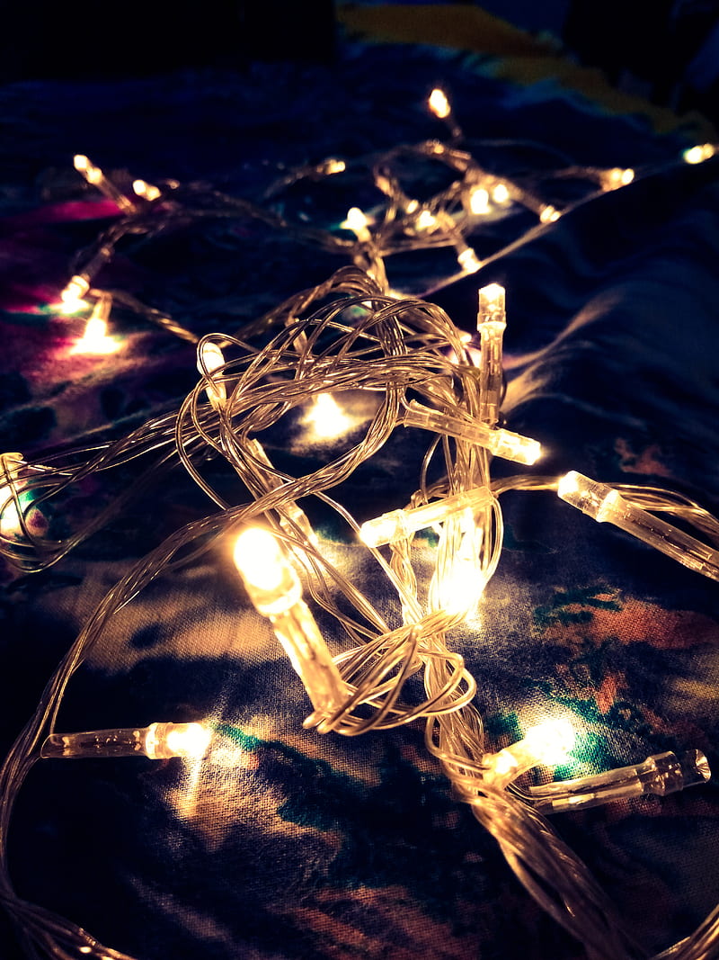 Fairy Lights Photos, Download The BEST Free Fairy Lights Stock Photos & HD  Images
