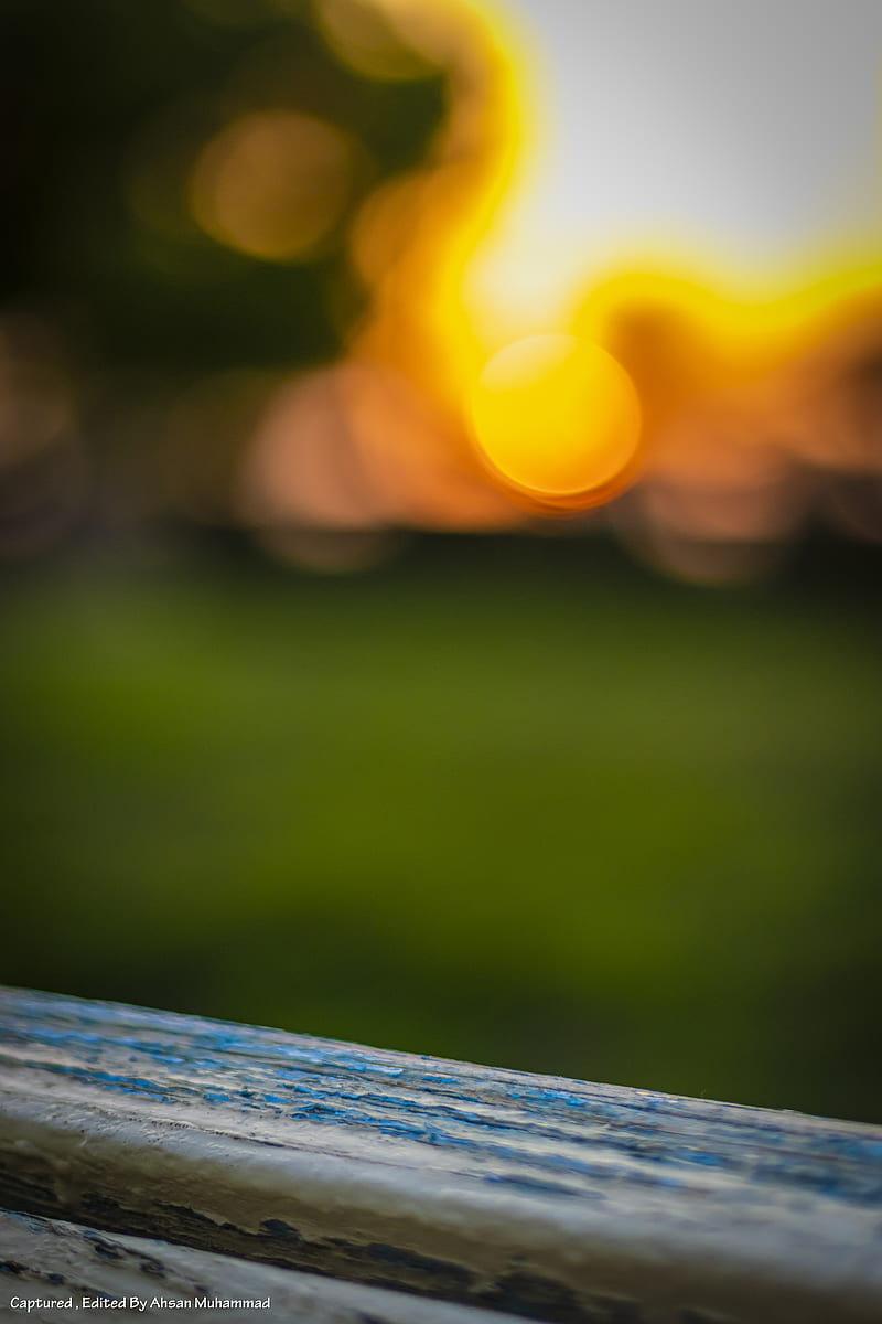 park, bench, grass, depth of field, sunlight, evening, HD phone wallpaper