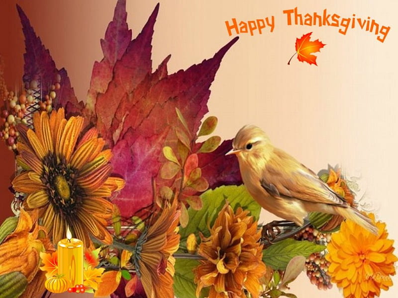 Happy Thanksgiving, painting, Thanksgiving, collage, abstract, HD wallpaper