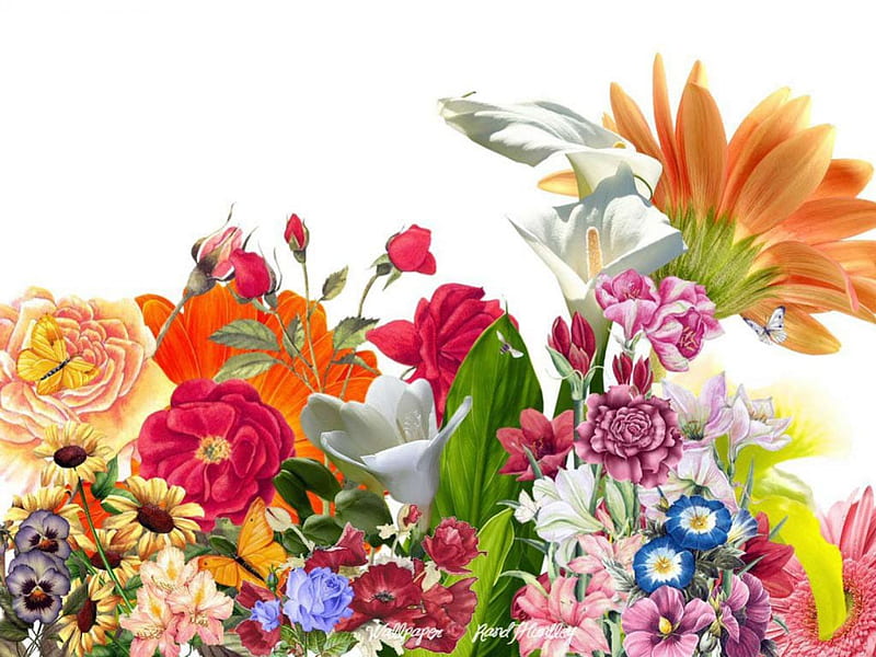 Beautiful Flowers, mixture, flowers, bouquet, HD wallpaper