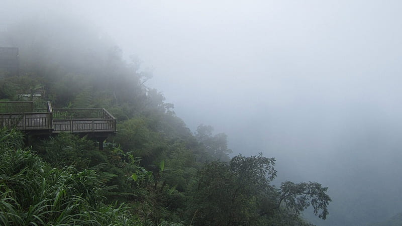 Mountain dense fog, platform, Mountain, dense fog, Overlooking, HD wallpaper