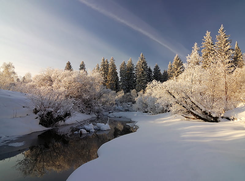 Pristine Winter, stream, pristine, snow, bonito, trees, winter, HD wallpaper