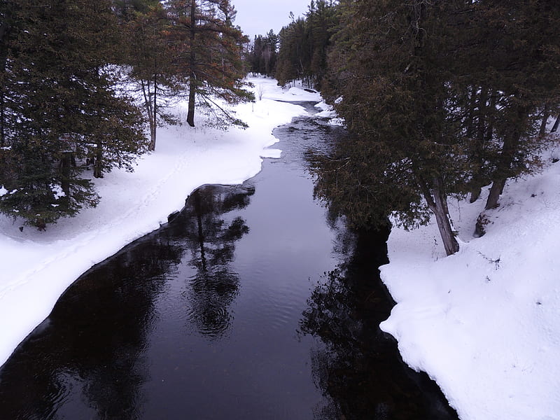 Winter At Eels Creek, Trees, graphy, Snow, Eels Creek, Nature, Winter, HD wallpaper