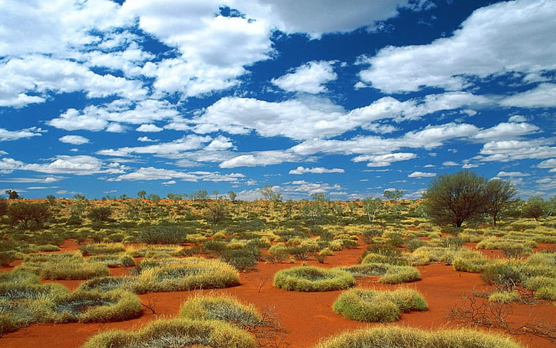 great sandy desert, summer, pretty, graphy, desert, HD wallpaper