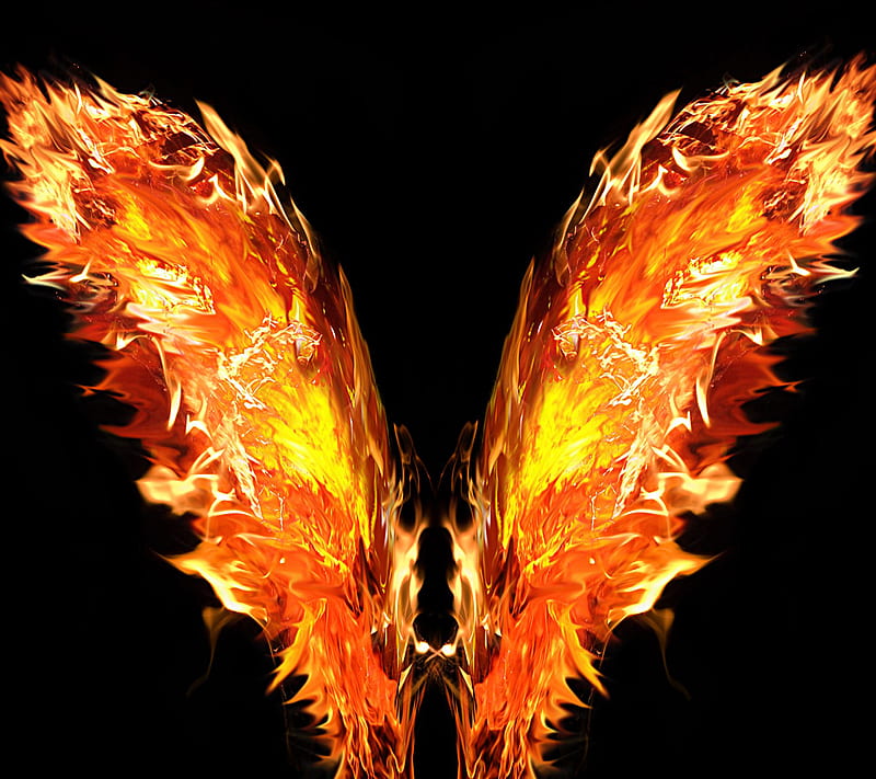 Fire Wings, fire, wings, HD wallpaper
