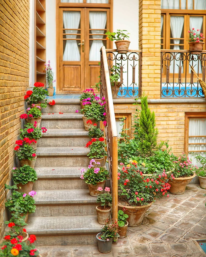 Iran, stairs, flowerpot, bricks, HD phone wallpaper