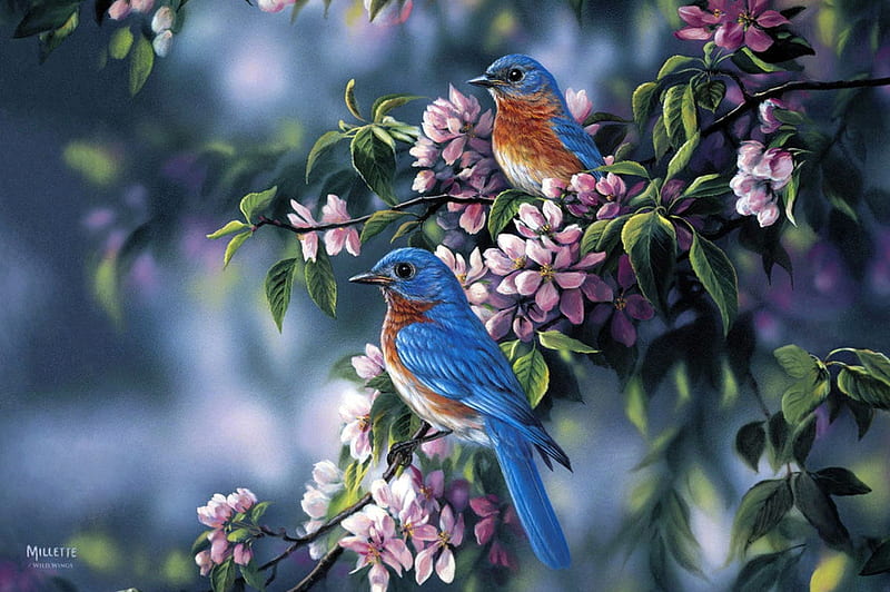 Birds, painting, pasari, flower, rosemary millette, spring, pink, blue, art, bird, pictura, HD wallpaper