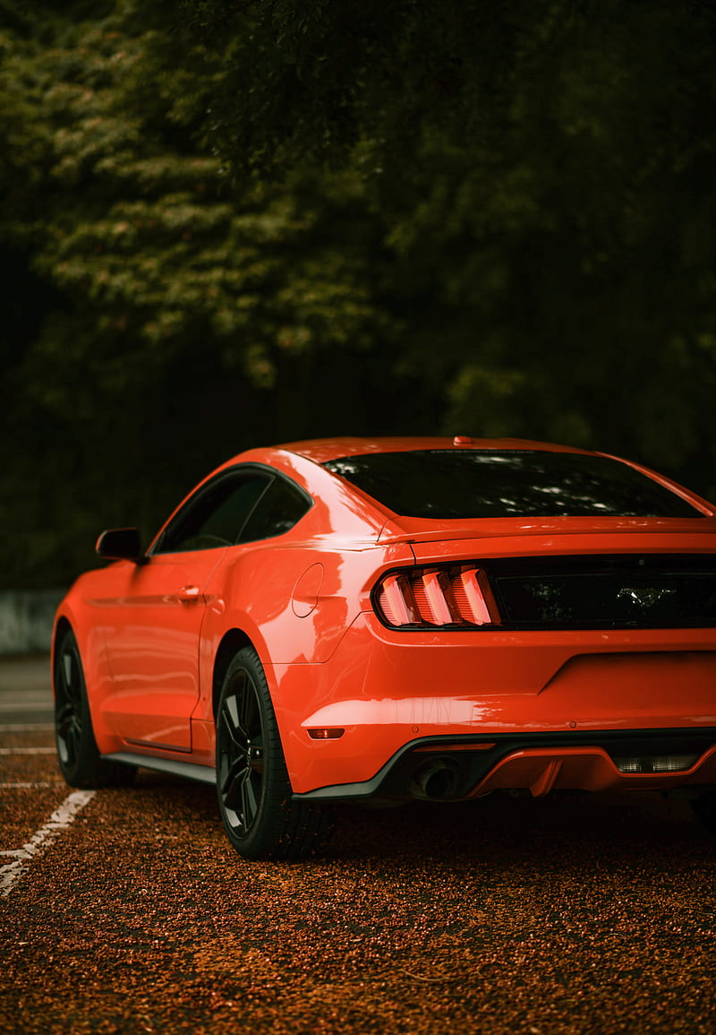 ford mustang, ford, car, red, side view, HD phone wallpaper
