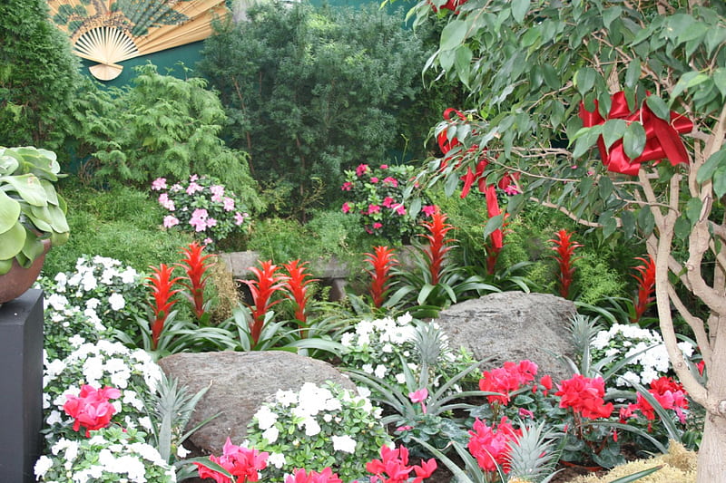 A day with my camera at the Pyramids 29, red, graphy, Garden, green, Bromeliads, Flowers, white, HD wallpaper
