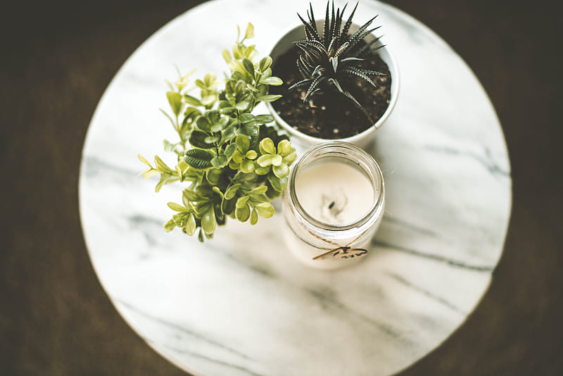 white votive candle near plant pot, HD wallpaper