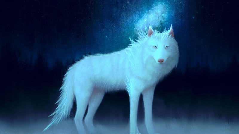 White wolf, luminos, angel reyes, black, wolf, white, winter, blue, iarna, fantasy, lup, HD wallpaper
