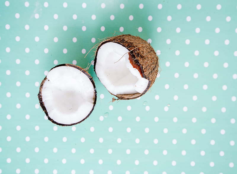 coconut, nut, exotic, dots, pattern, HD wallpaper