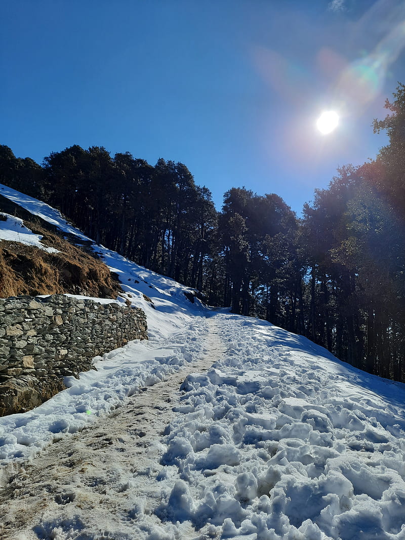 Snow roads, cold, himachal, kullu, manali, road, shimla, sun, travel, trees, HD phone wallpaper
