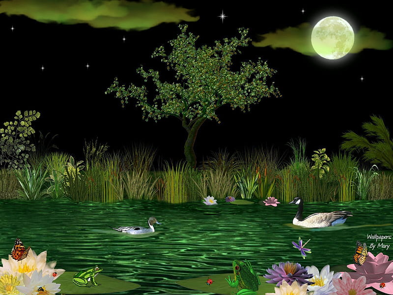 Floating On A Flower 1600x1200, Water, Geese, Frogs, Amphibians, Ducks, Flowers, Ponds, Birds, HD wallpaper