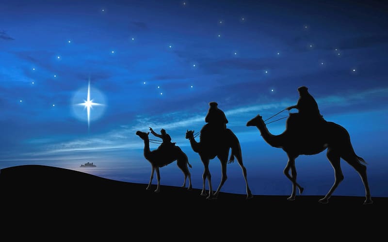 Star of Bethlehem, desert, night, camels, kings, HD wallpaper