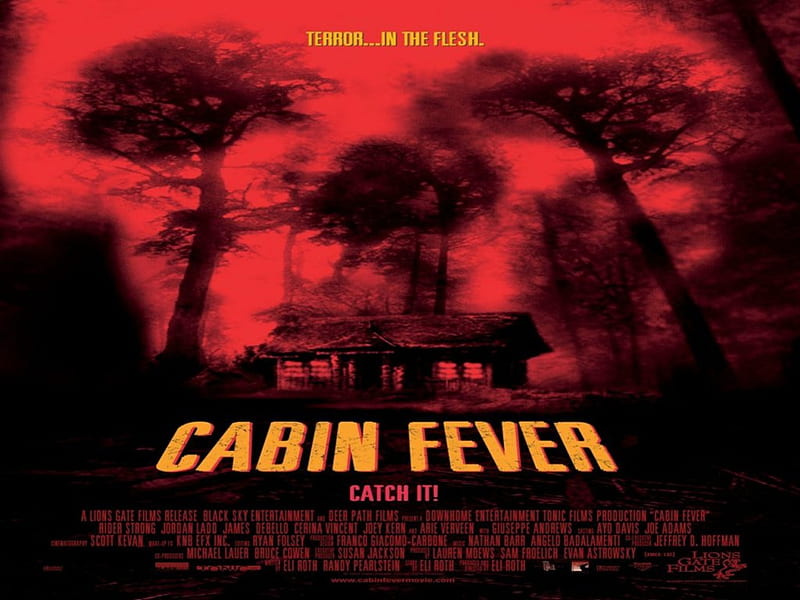 Cabin Fever, Fever, Horror, Cabin, HD wallpaper