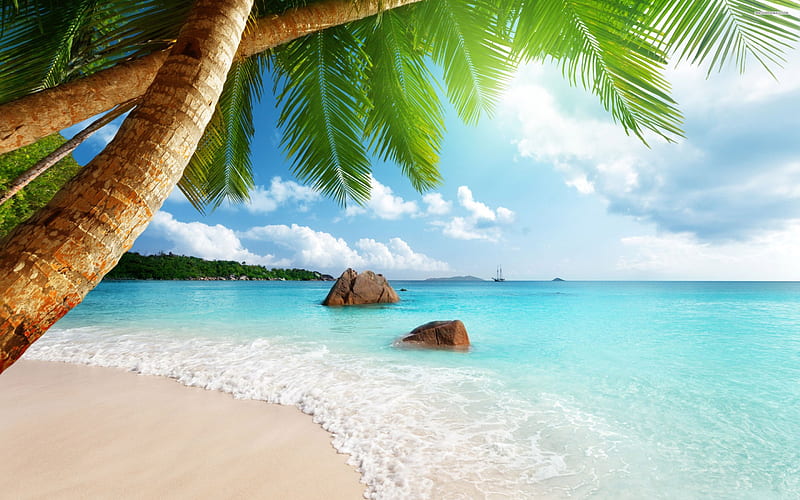 * Tropical beach *, ocean, nature, sky, sea, palms, HD wallpaper | Peakpx