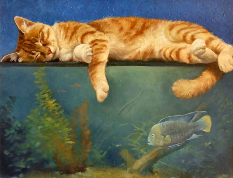 Cat Dreams F, art, bonito, cat, artwork, animal, pet, feline, painting, fishbowl, fish tank, HD wallpaper